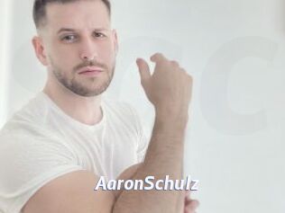 AaronSchulz