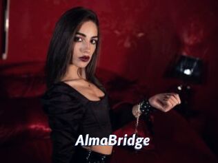 AlmaBridge