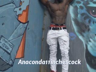 Anaconda11inchescock