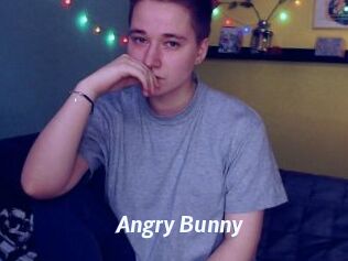 Angry_Bunny