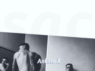 Antino_X