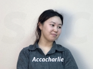 Accacharlie