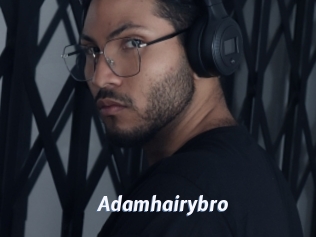 Adamhairybro