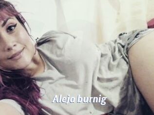 Aleja_burnig