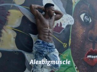 Alexbigmuscle