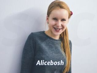 Alicebosh