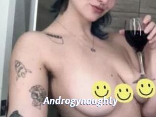 Androgynaughty