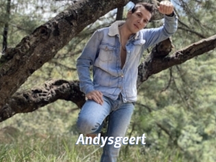 Andysgeert