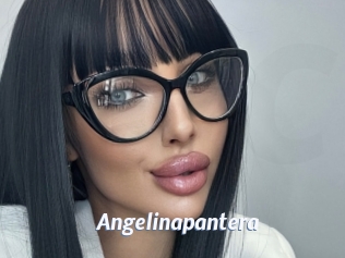 Angelinapantera