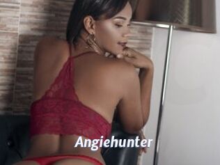 Angiehunter