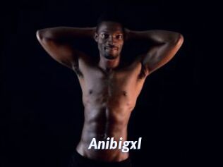 Anibigxl