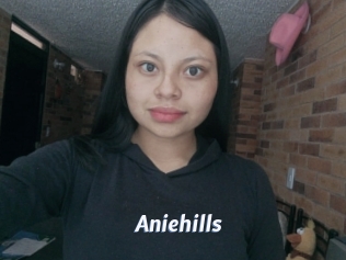 Aniehills