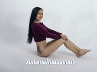 Antonellaasscani