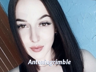 Antoniagrimble