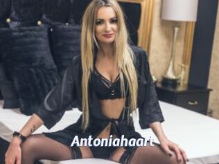 Antoniahaart