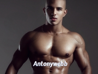 Antonywebb