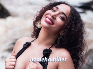Azalehamiller