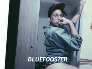 BLUEFOOSTER
