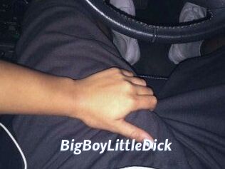 BigBoyLittleDick