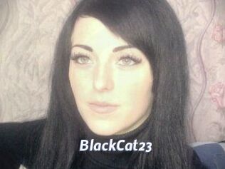 BlackCat23