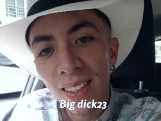 Big_dick23