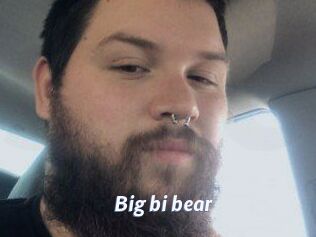 Big_bi_bear