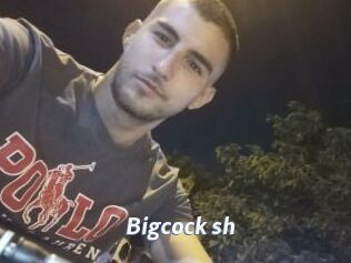 Bigcock_sh