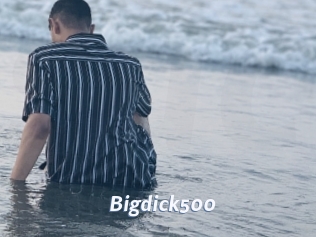 Bigdick500