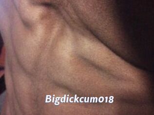 Bigdickcum018