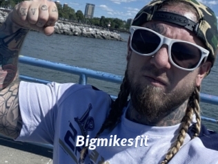 Bigmikesfit