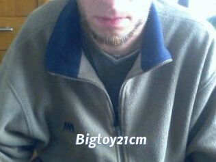 Bigtoy21cm