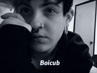 Boicub