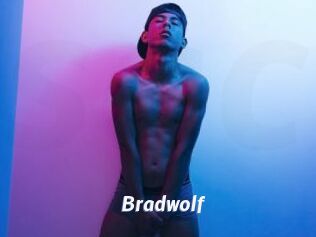 Bradwolf