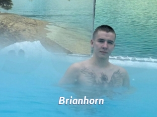 Brianhorn