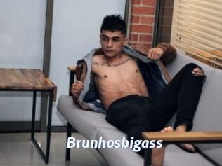 Brunhosbigass