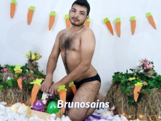 Brunosains