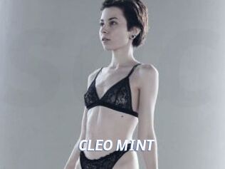 CLEO_MINT