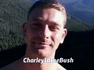 CharleyInTheBush