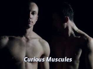 Curious_Muscules