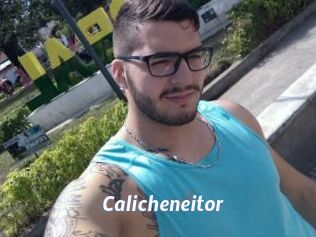 Calicheneitor