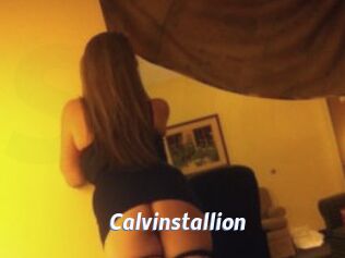 Calvinstallion