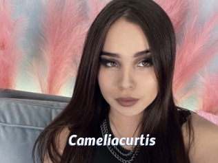 Cameliacurtis