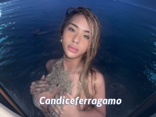 Candiceferragamo