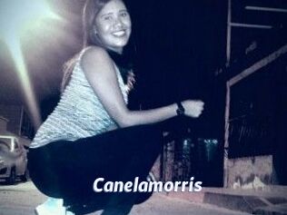 Canelamorris