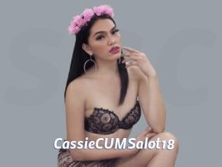 CassieCUMSalot18