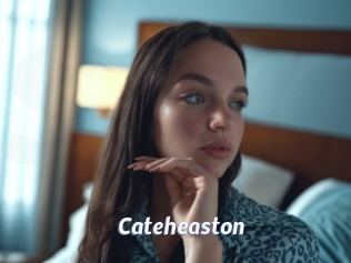 Cateheaston