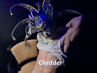 Chedder