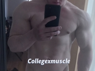 Collegexmuscle