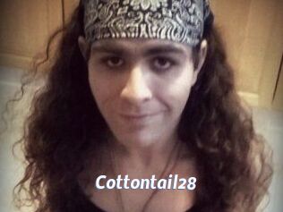 Cottontail28