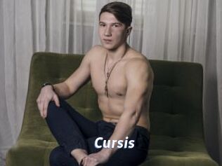 Cursis